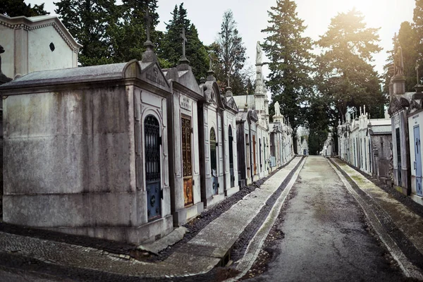 Må de vila i frid. Skjuten av en rad gravar som ligger bredvid varandra inne på en kyrkogård utanför under dagen. — Stockfoto