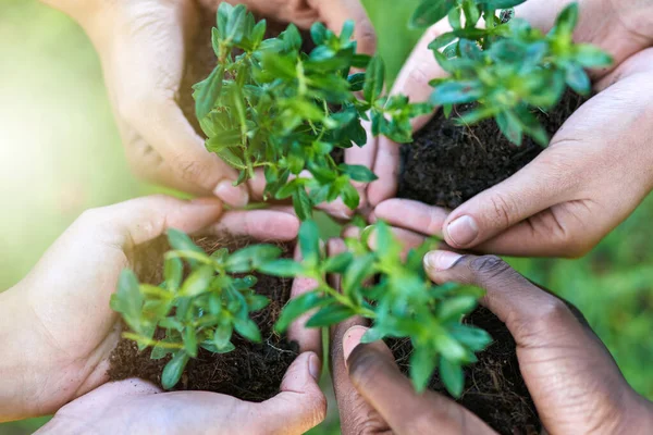 Conservar a natureza. Tiro de quatro pessoas cada segurando uma planta crescendo no solo. — Fotografia de Stock