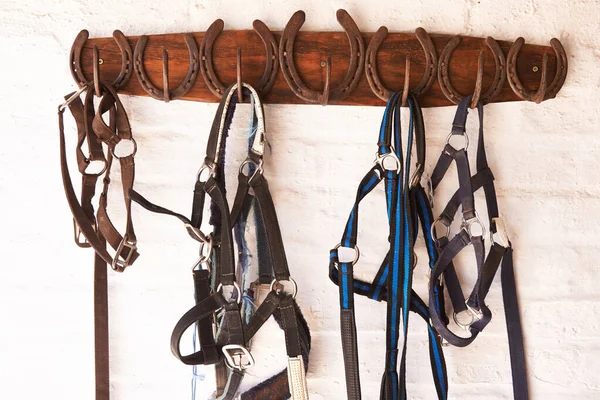 Everything in its place. Shot of riding tack hanging from a wall.