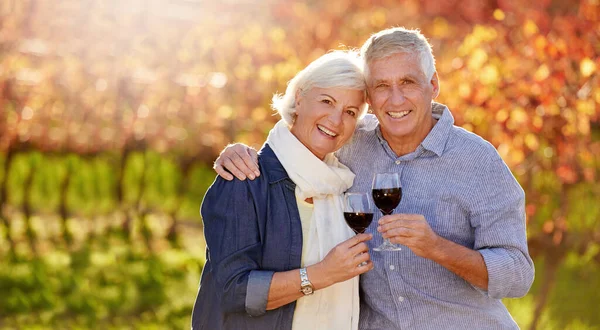 ความรักของพวกเขาเหมือนไวน์ชั้นดี รูปภาพของคู่รักผู้สูงอายุที่ยิ้ม กําลังดื่มอวยพรด้วยกัน ต่อหน้าสวนองุ่นในฤดูใบไม้ร่วง . — ภาพถ่ายสต็อก