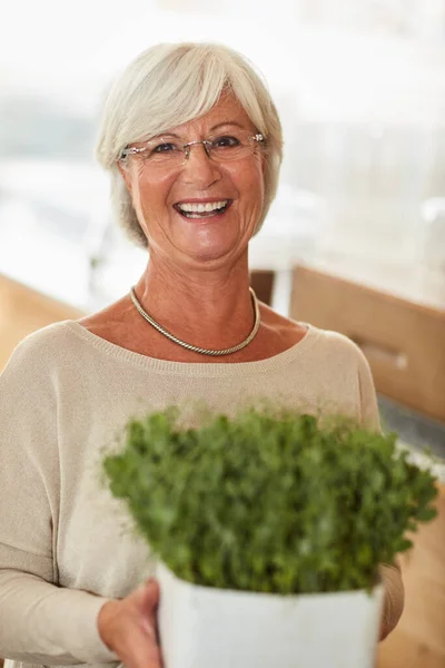 Robi się zielony. Prezent, który ciągle daje. Portret szczęśliwej seniorki trzymającej roślinę doniczkową. — Zdjęcie stockowe
