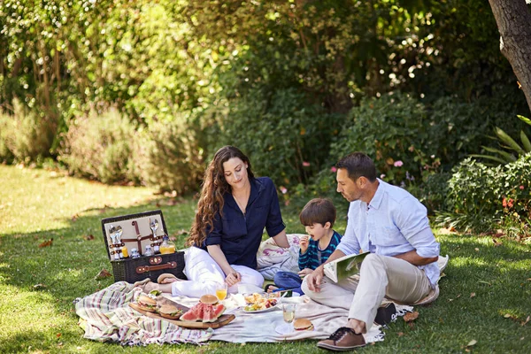 Rodinné pikniky jsou nejlepší. Fotka rodiny, jak si spolu užívají piknik. — Stock fotografie
