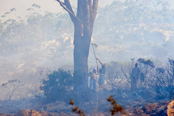 Abattre le feu un arbre à la fois. Fusillade de pompiers luttant contre un incendie sauvage. — Photo