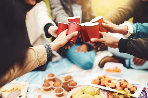 Salud a todos mis buenos amigos. Foto de un grupo de personas irreconocibles celebrando con un brindis en un picnic al aire libre durante el día. — Foto de Stock
