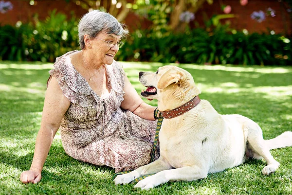 O yıllardır benim yoldaşım. Dışarıda köpeğiyle oturan yaşlı bir kadının fotoğrafı.. — Stok fotoğraf