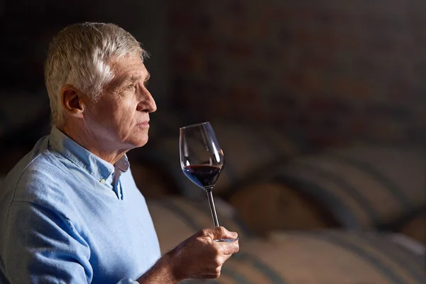 Man kan berätta mycket om ett vin efter dess lukt. Beskuren bild av en senior man vinprovning i en källare. — Stockfoto