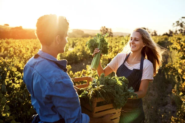 Ill leave these to you. Cropped shot of a handsome young man and an attractive young woman working together on a farm. — Stock Photo, Image