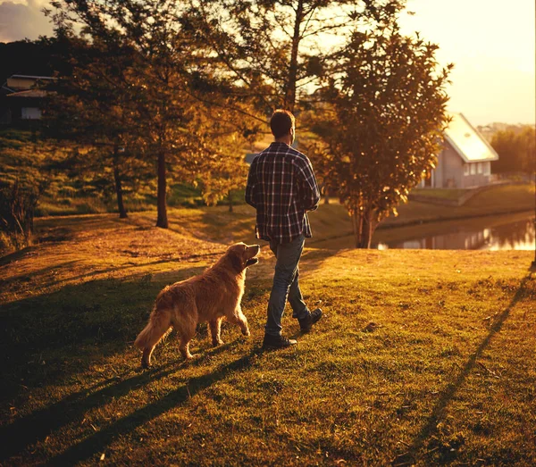 Tasması harika. Yakışıklı bir delikanlının köpeğiyle parkta yürüdüğü uzun bir çekim.. — Stok fotoğraf