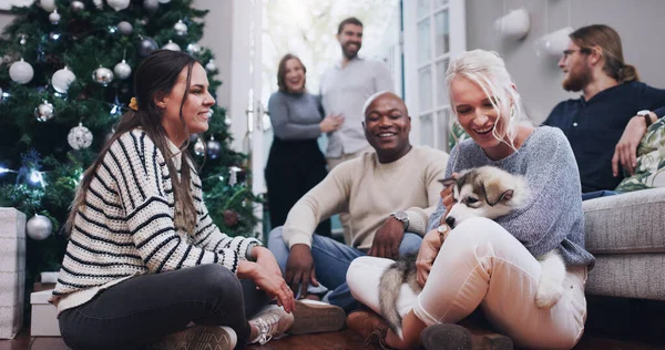 Yavru köpek olmadan Noel partisi olmaz. Evde bir Noel partisinde, sevimli köpeğini kucaklayan genç bir kadının fotoğrafı.. — Stok fotoğraf