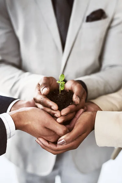Az üzleted a megfelelő csapattal fog növekedni. Szoros kép egy csapat felismerhetetlen üzletemberről, akik egy növényt tartanak a talajban.. — Stock Fotó
