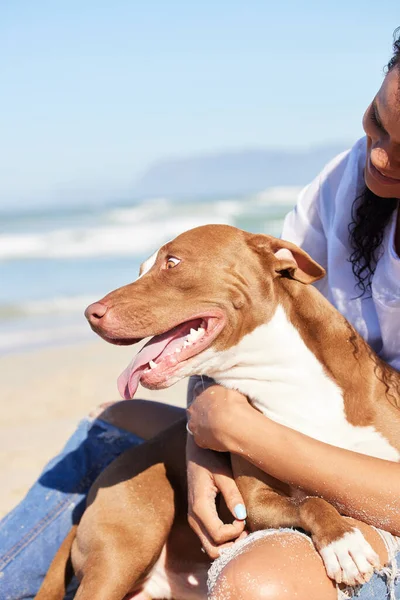 Happy dogs είναι στα σκυλιά σύννεφο. Μια γυναίκα να περνάει μια μέρα στην παραλία με τον αξιολάτρευτο σκύλο της.. — Φωτογραφία Αρχείου