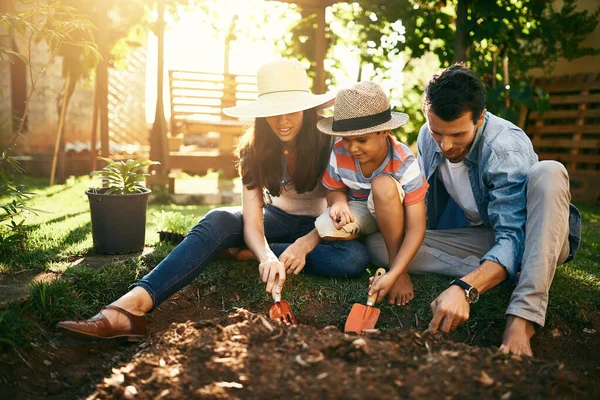 彼らはすべて自分自身を育てることについてです。裏庭で一緒に家族の園芸のショット. — ストック写真