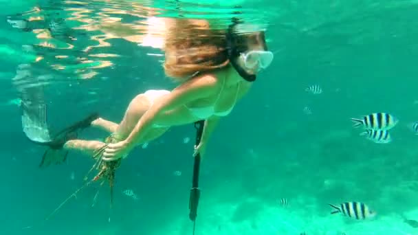 Mujer Nadando Océano — Vídeos de Stock