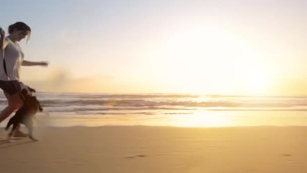 Nagranie Wideo Kobiety Jadącej Pobiegać Psem Plaży Zachodzie Słońca — Wideo stockowe