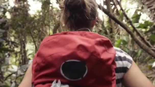 森林の中を歩く女性の4Kビデオ映像 — ストック動画