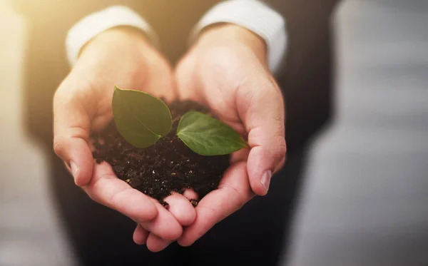 Cropped shot of a businessman holding a plant growing in soil.