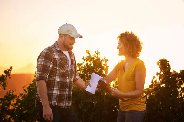 ブドウ畑に立っている間にクリップボード上のノートを作る2人の若いワインメーカーのショット — ストック写真