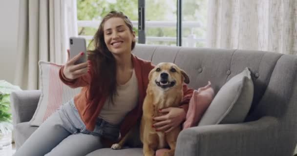 快乐的年轻女人和她的狗在她家的沙发上自作主张 白人女人带着她的小狗与你的宠物和电话在沙发上度过愉快和放松的一天 爱和亲吻人类和动物 — 图库视频影像