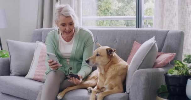 一名老年妇女在家里用手机和信用卡上网购物 用手机和信用卡进行银行业务 同时在家里的休息室里与宠物狗牵线搭桥 退休妇女用智能手机花钱 — 图库视频影像