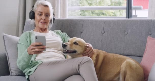 成熟的高加索女人带着耳机在音乐中跳舞 在家里的沙发上与可爱的棕色狗粘连在一起 无忧无虑的退休女人一边和宠物一起放松 一边发短信和浏览社交媒体 — 图库视频影像