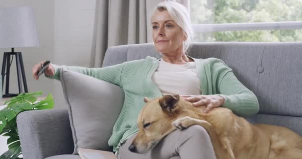老女人看电视 和她的宠物狗坐在沙发上 退休的严肃女人周末在家里放松一下 在客厅里和她的宠物狗呆在一起 独享时光的女人 — 图库视频影像