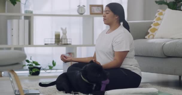 Kobieta Wielkości Medytująca Swoim Salonie Medytacja Jogin Siedzi Skrzyżowanymi Nogami — Wideo stockowe