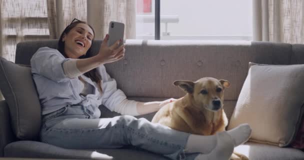 快乐的年轻女人用她的智能手机在沙发上打一个视频电话 在她家挥手 白人女人和她的小狗 — 图库视频影像