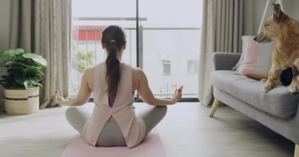 Achteraanzicht Van Fitte Vrouw Die Yoga Beoefent Huiskamer Yogi Zitten — Stockvideo
