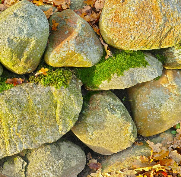 緑のカビや紅葉に覆われた岩のヒープの閉鎖 秋に乾燥した秋のオレンジと黄色の葉に囲まれた石の岩 石のざらざらした質感の詳細 — ストック写真