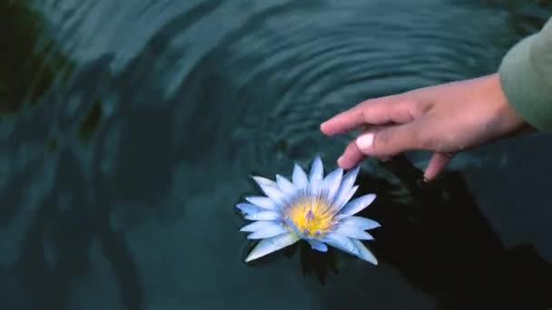 Close Uma Mulher Brincando Com Uma Flor Uma Barragem Cima — Vídeo de Stock