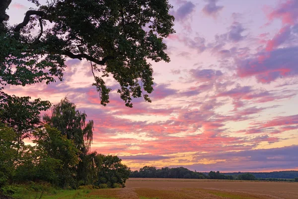 田舎の木々が茂る畑に曇り空を背景に 夕暮れ時にピンクと紫に輝くカラフルなムーディーな空のコピースペース 日の出や日没時に変化する風景や天気 — ストック写真