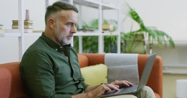 Зрелый Бизнесмен Использующий Ноутбук Поиска Интернете Офисе Уверенный Креативный Профессионал — стоковое видео