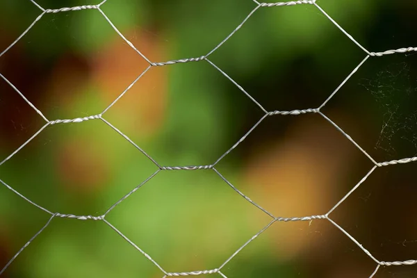 Closeup of a mesh metal fence with blur garden in the background. Details of a steel iron gate around a park. Mesh metal fence surrounded by green tree leaves. Plain twisted wire pattern and texture.