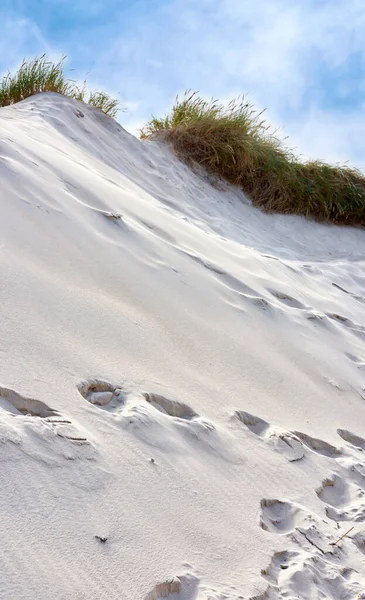 Landscape of beach sand dunes on the empty west coast of Jutland in Loekken, Denmark. Blue sky with copyspace, tufts of lush green grass growing on a summer day. Sandy footprints along ocean and sea.