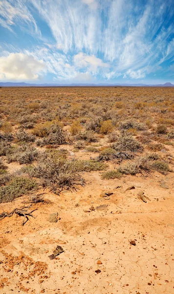Landscape Arid Barren Highland Savanna Desert Rural South Africa Copyspace — Stockfoto