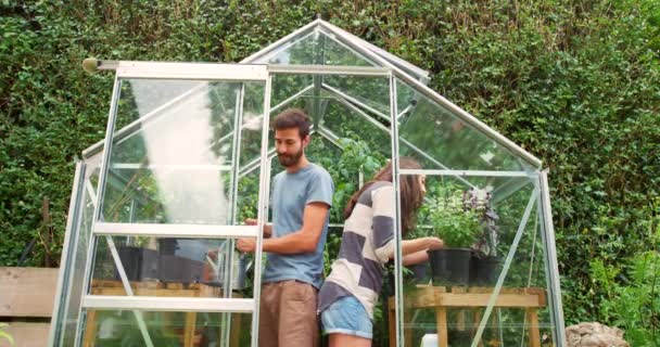 一对快乐的年轻夫妇倾向于一起在温室里播种 — 图库视频影像