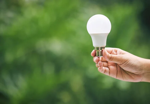 Closeup Hand Holding Light Bulb Nature New Ideas Sustainable Energy — Photo