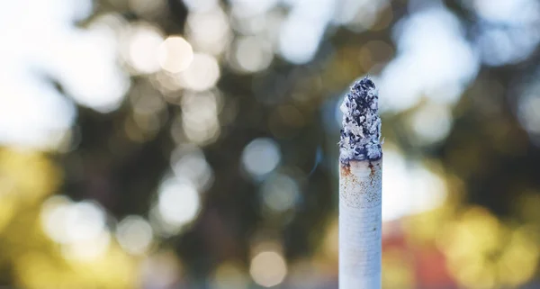 Closeup of a burning cigarette with an ashy tip against a blurred background outside. Tobacco is an addictive and harmful substance that can lead to health issues. Nicotine addiction can be a gateway.