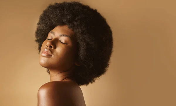 ブラウンスタジオのコピースペースの背景に対して自然なアフロポーズを持つアフリカ系アメリカ人女性を自信を持って 美しく若いです黒の女性モデル見てトレンディーです 滑らかで輝く肌と強力かつ官能的 — ストック写真