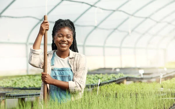 Portrait of a happy woman working on a farm. Smiling farmer working in a greenhouse. African american woman working on a farm. Young woman cultivating agriculture on a sustainable farm.