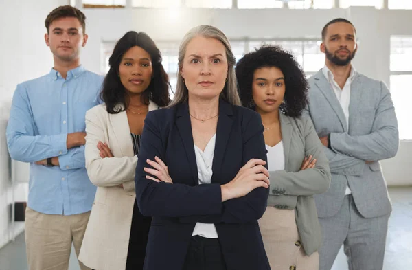 Group of diverse and powerful businesspeople standing together with their arms folded in an office. Confident and mature manager leading her team of professionals in the workplace. Global business.