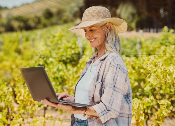 ある笑顔のシニア農家がブドウ畑でノートパソコンを持っています 幸せな高齢者白人女性は 彼女の作物の周りにインターネットを閲覧し 夏にワイン農場で生産します 農場でオンラインで接続 — ストック写真