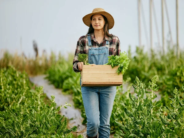 Постріл Молодої Жінки Фермера Несе Свіжозбирані Продукти — стокове фото
