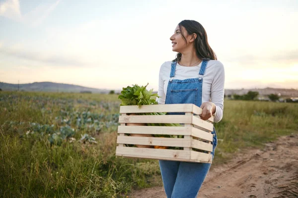 女农手里拿着一盒木箱新鲜蔬菜 年轻的黑发女子背着有机农产品在土路上走着 — 图库照片