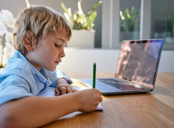 Young Homeschool Little Boy Sitting Alone Using Laptop Study Caucasian — Fotografia de Stock