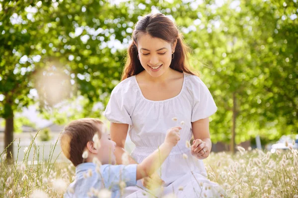 Aufnahme Einer Jungen Mutter Und Ihres Sohnes Beim Blumenpflücken Der — Stockfoto