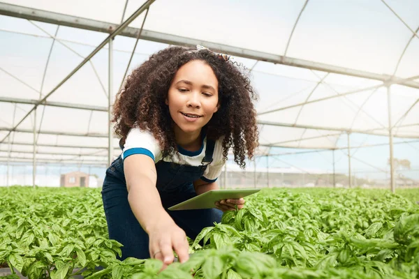 Shot Young Woman Using Digital Tablet While Working Farm — Stock Photo, Image