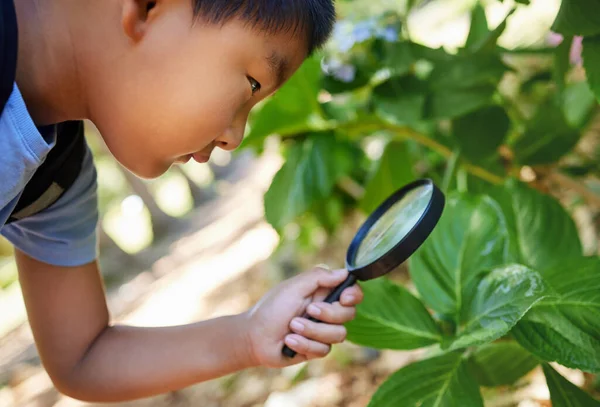 Shot Young Boy Using Magnifying Glass — Stock Photo, Image