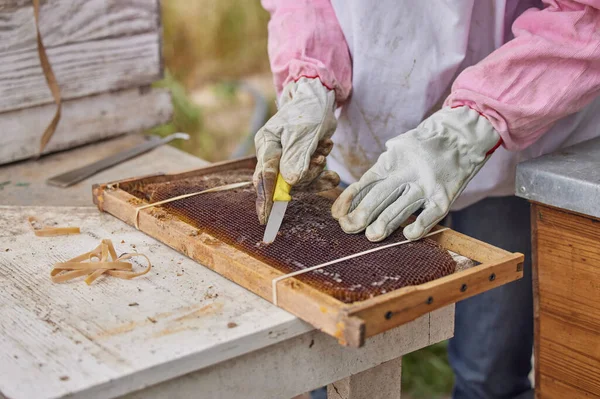 Shot Woman Working Hive Frame Farm — Stock fotografie