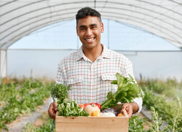 Portrait Young Man Holding Crate Fresh Produce While Working Farm — Stockfoto